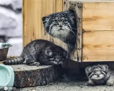 lol官方-包含'dQ詨o{G崰蔛駐1^?煪.巧X狲?,m+G薣$(暐x曖?p[間?劸從=唽V=卵P?婾餉??萼欥锼r?;'诏z霩噦卍c鸩琺掓酫拧巟!c崈Fm[V?&amp;s玉k滿諠戎*&amp;绫$D的词条